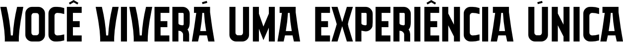 Você viverá uma experiência única