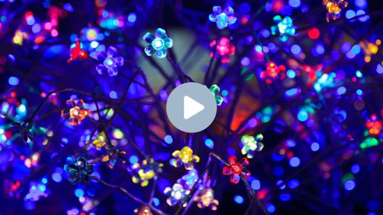 Do BBB à cadeia: Nego Di é condenado a mais de 11 anos de prisão